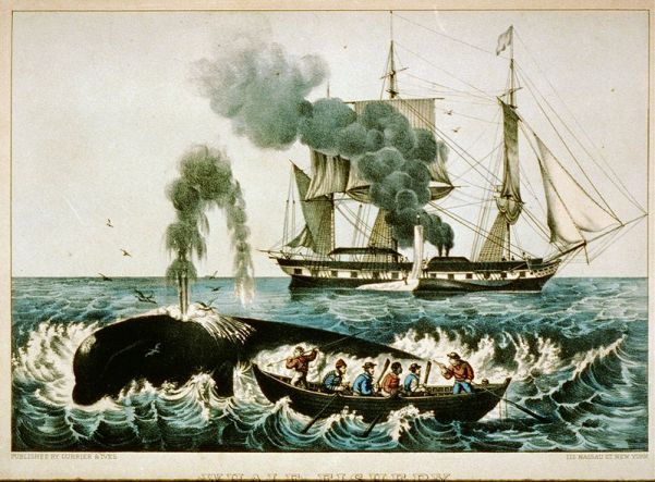 Yankee Whaling