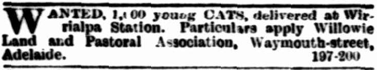 the-advertiser-16-july-1892