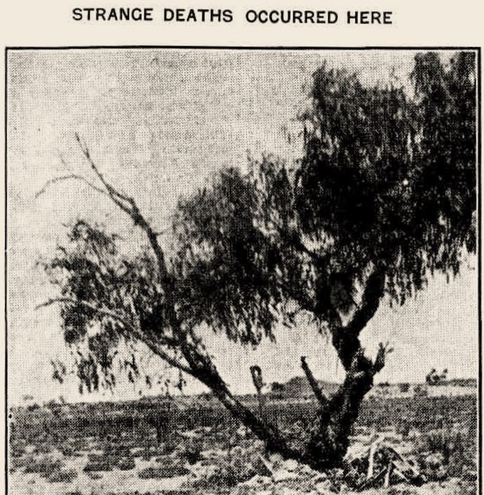 Death at Lake&nbsp;Austin