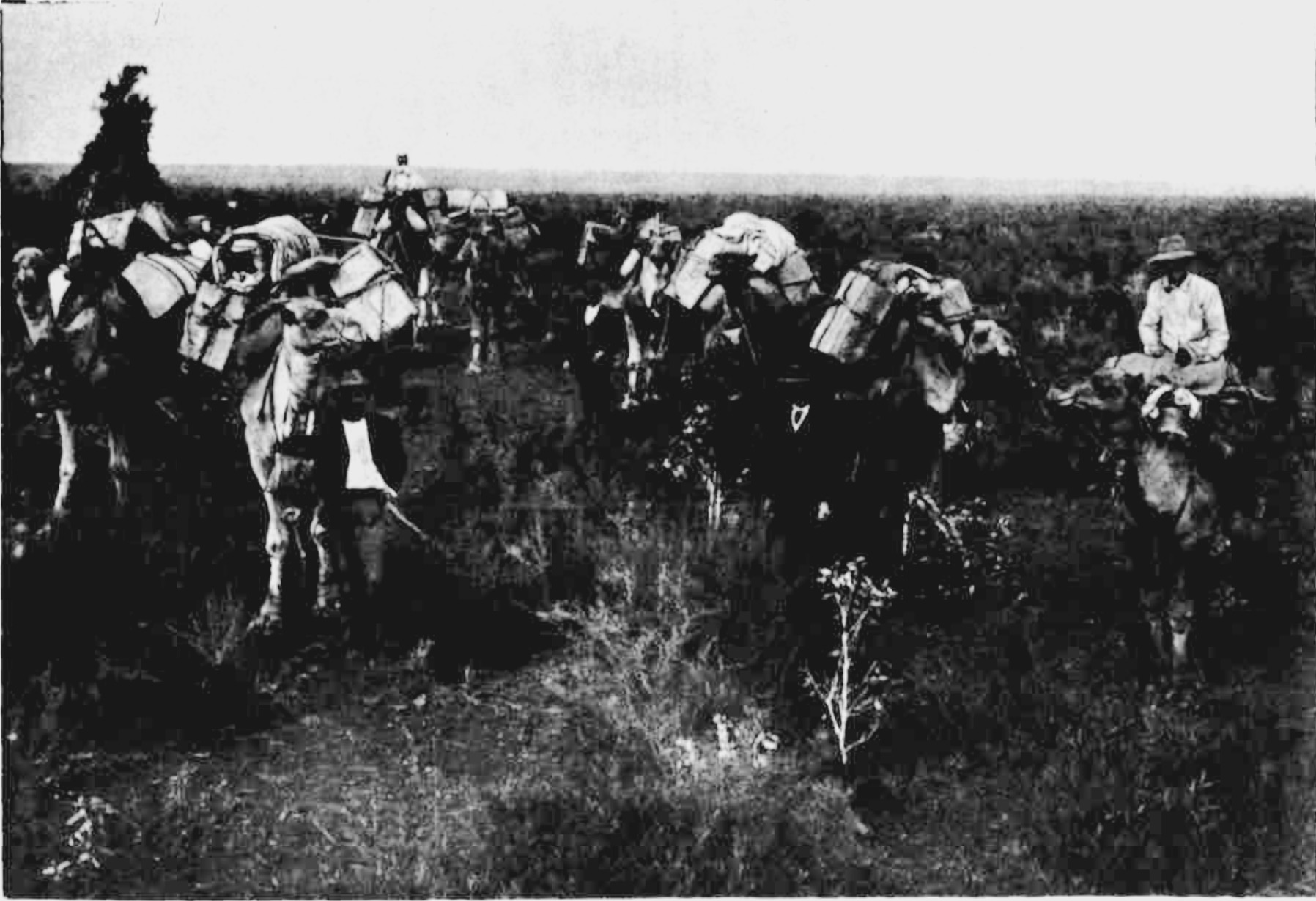 File 3-9-17, 1 53 02 pm