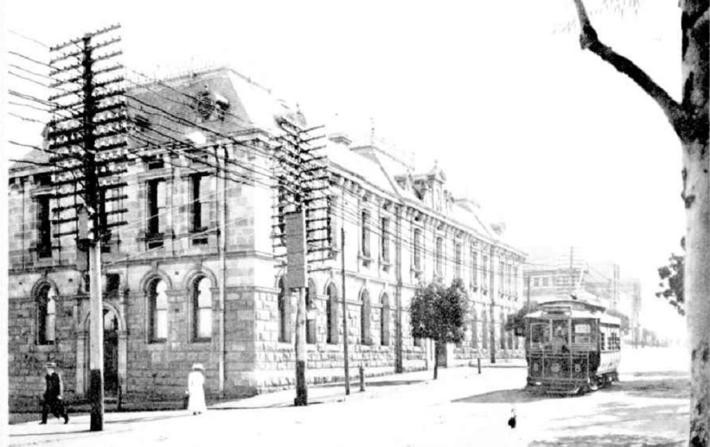 Police Court Habitué