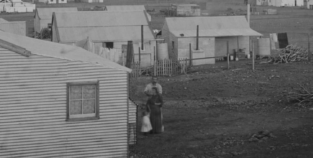 Poisoned at Day Dawn